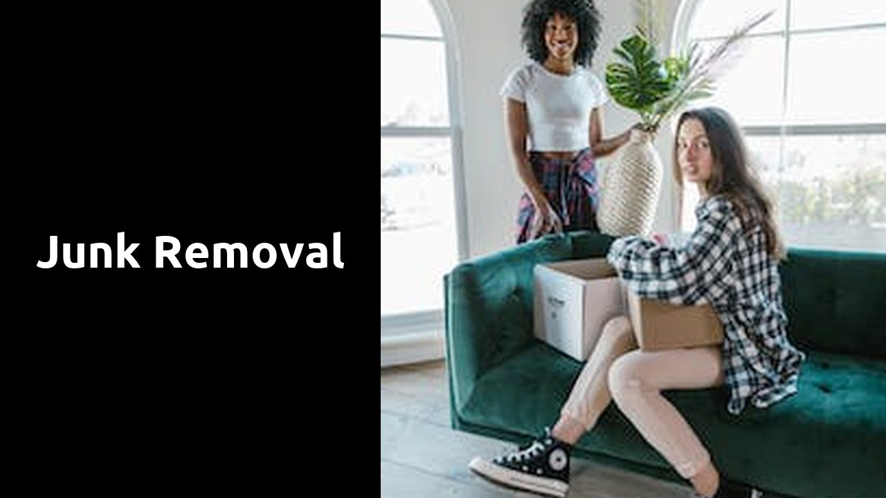 Junk Removal