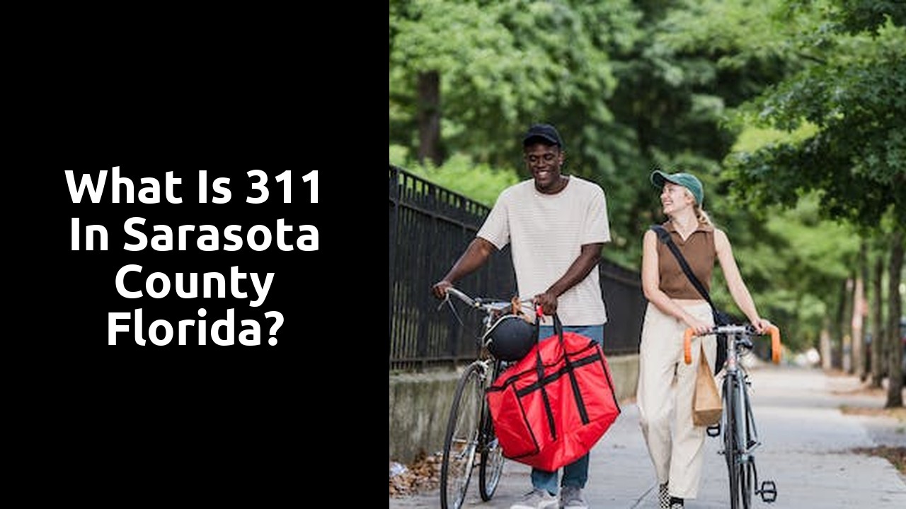 What is 311 in Sarasota County Florida?